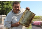 Оптовая продажа меда 2014 г.